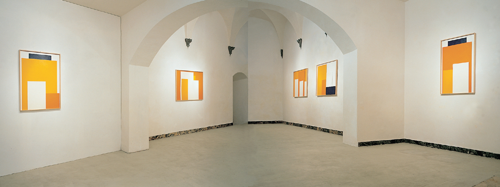 Antonio Catelani - Antonio-Catelani-Madreforma 1998 Galleria Continua San Gimignano